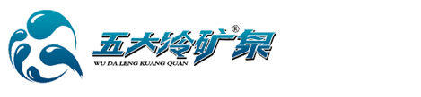 五大連池天然含氣礦泉水